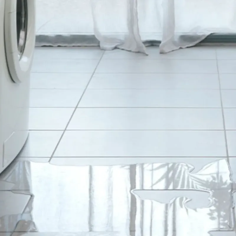 Appliance Leak Cleanup in Julian, CA