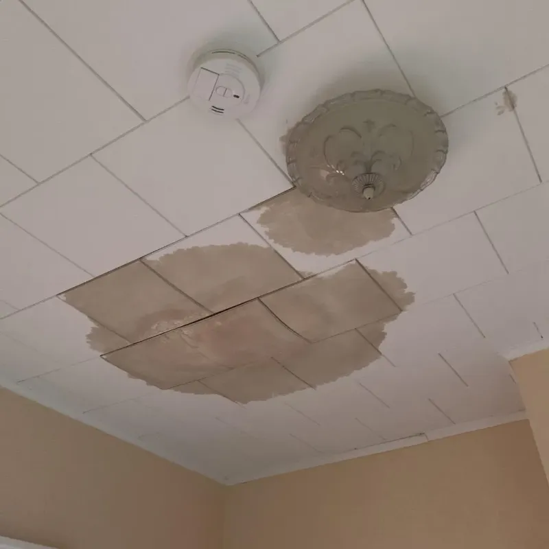 Ceiling Water Damage Repair in Julian, CA